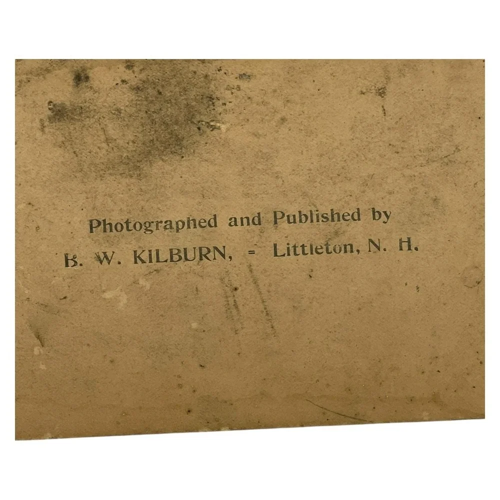 1889 BW Kilburn Stereoview In Camp Among the Pines Hunting‎ Scene Dogs